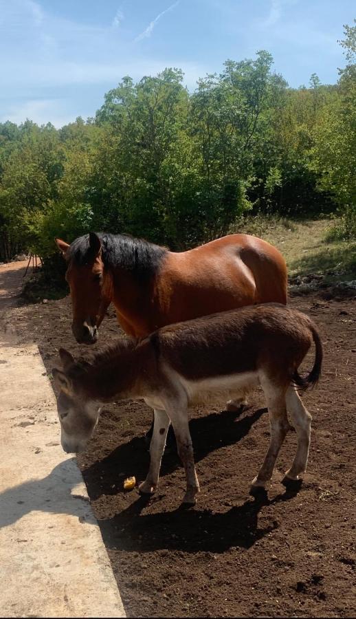 Hotel Etno Selo Montegoat Nikšić Zewnętrze zdjęcie